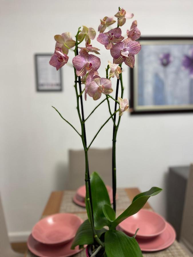 Arteg Apartments - Premium Dıraç Dış mekan fotoğraf